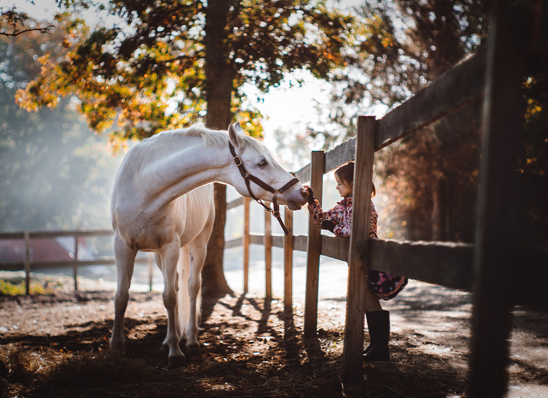 Insurance Solutions - Young Girl With Horse Separated by a Fence on a Fall Day in Kentucky